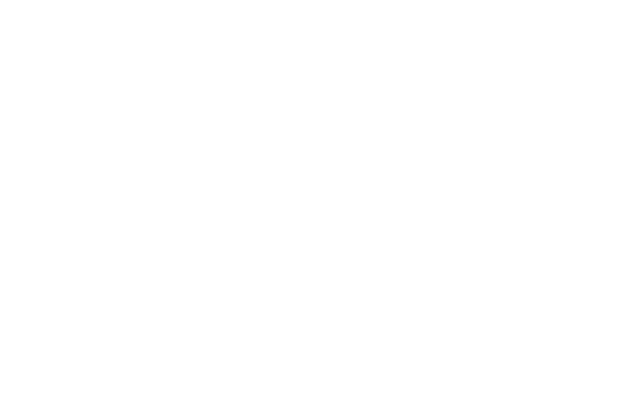 Monique Bitoni Realtor