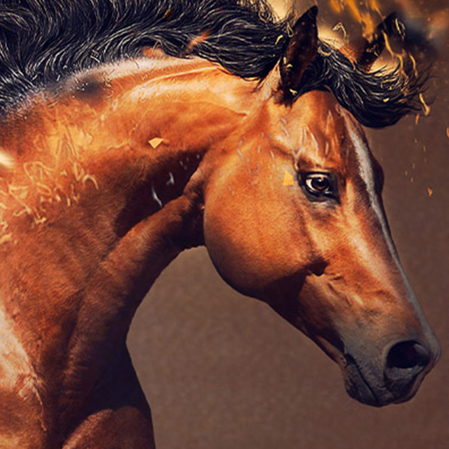 The saying 'A horse, a horse, my kingdom for a horse' - meaning and origin.