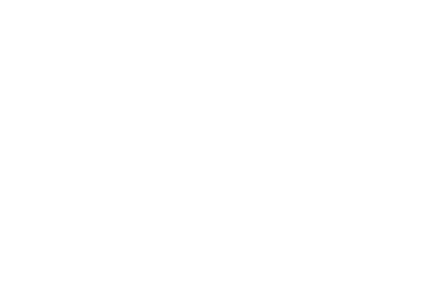 Ramirez Family