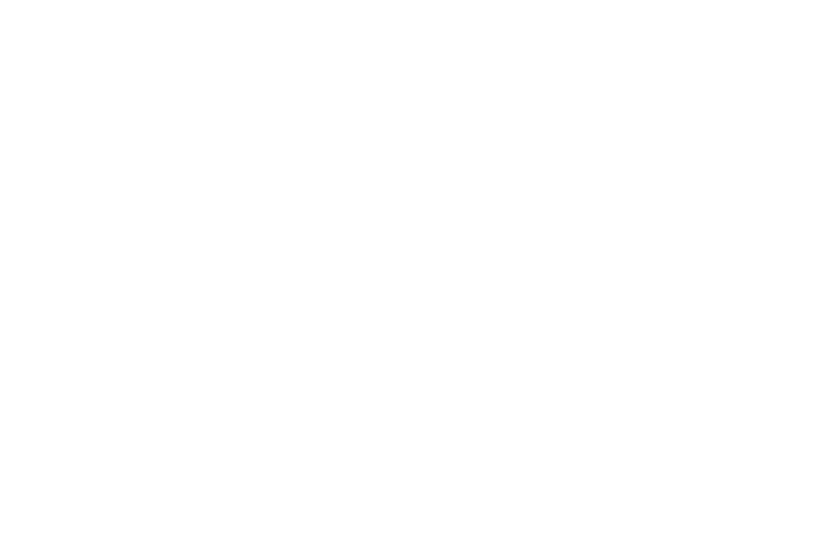 Monique Bitoni Realtor