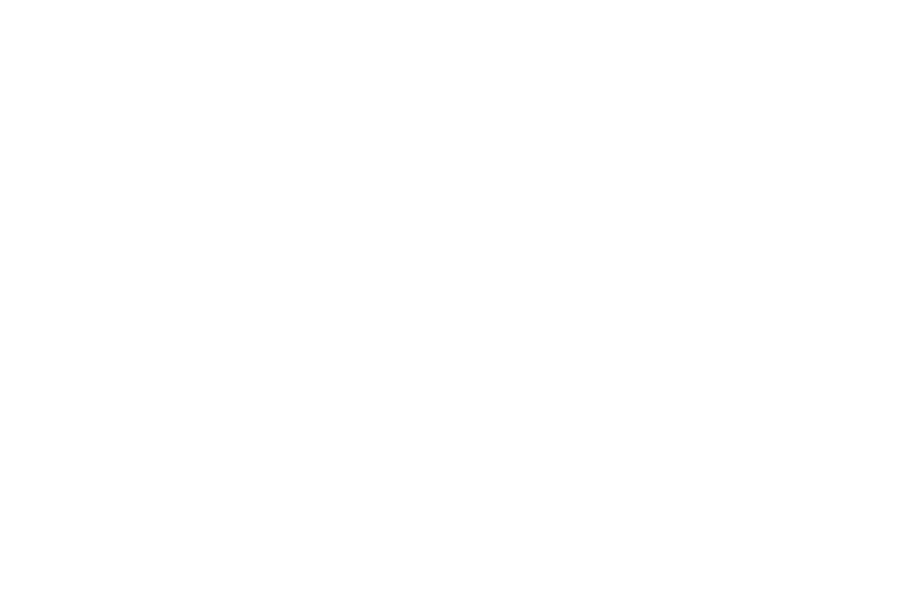 Exclusive Iron & Doors