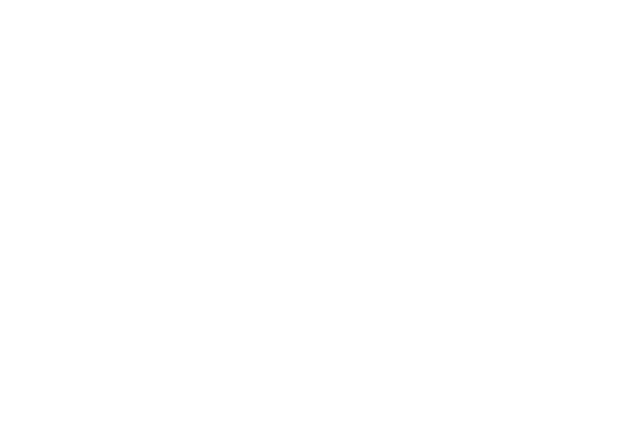 Mejia Family