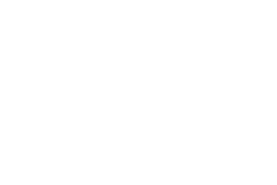 Appleton Moving Companies