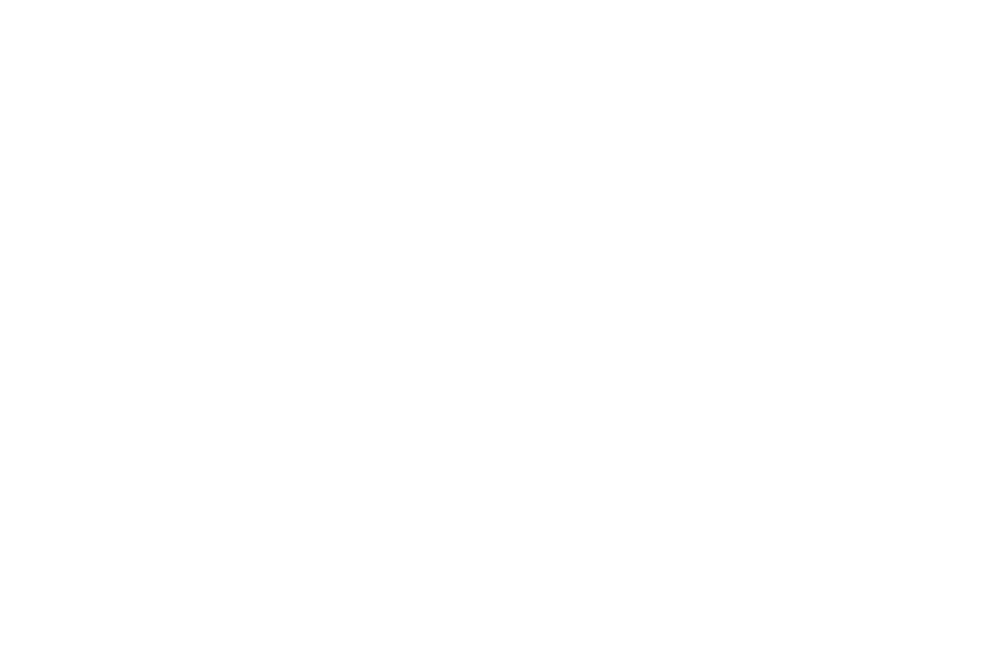 pfluger