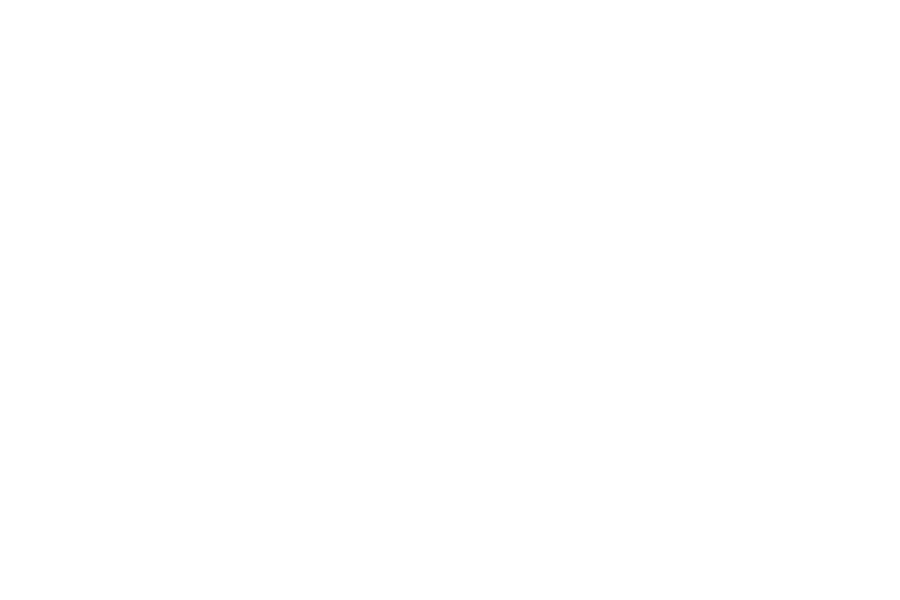Insurance One Agency, LC