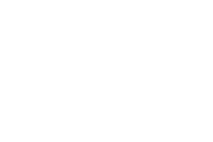 STBL - The South Texas Business Lawyers